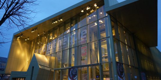 03F VISS TVS FIRE Médiathéque de Pau 1